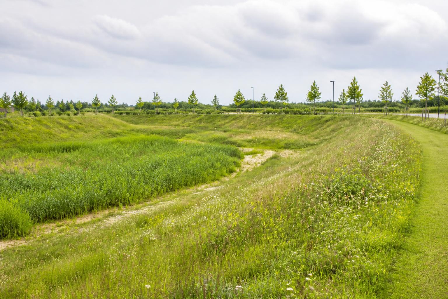 Naturnah gestaltete Rückhaltefläche als Teil moderner Infrastruktur